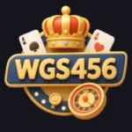 WGS456 Game